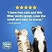 Fresh Step Multi-Cat Scented Litter with the Power of Febreze, Clumping Cat Litter, 34 Pounds (Package May Vary) (Package May Vary)