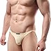 Sunward Men Ultra-Thin Breathable Briefs Sexy Underwear (XL, Beige)