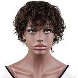 Dreambeauty Human Hair Wigs for Black Women Short Fashion Curly Wigs African Amercian Wigs
