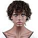 Dreambeauty Human Hair Wigs for Black Women Short Fashion Curly Wigs African Amercian Wigs