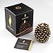 Luminara LED Flameless Candle, Flameless Real Pine Cone LED Candles for Home/Party/Halloween/Christmas/Wedding Decor with Timer Control, Battery Operated 3