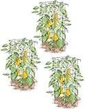 Pepper and Eggplant Cages, Set of 3