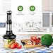 HOMIEE Hand Blender, Multi-Purpose 5-in-1 Immersion Blender Stick with 15-Speed Control and Turbo for Baby Food & Kitchen Use, Including Stainless Chopper, Egg Whisk, 800ML BPA-Free Beaker & Storage Bracket, Black