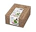 Catit Senses 2.0 Cat Grass Kit (Set of 3) primary