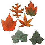 Sur La Table Parchment-Paper Leaves 7102SLT , 20-pack