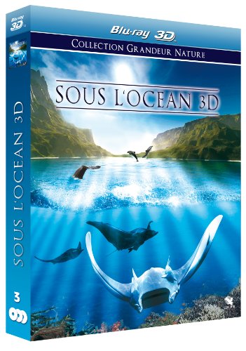 Sous L'océan 3d