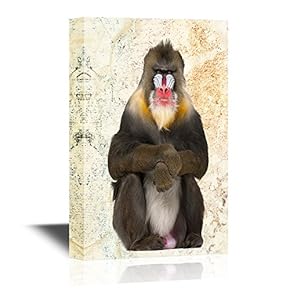 Wild Animal Canvas Wall Art - A Sitting Mandrill - Gallery Wrap Modern Home Art | Ready to Hang - 12x18 inches