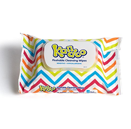 1 Kandoo+Flushable+Training+Cleansing+Sensitive