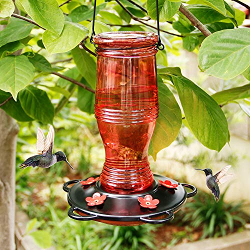 Juegoal Glass Hummingbird Feeders for Outdoors, 26 oz Wild Bird Feeder