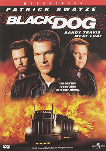 Amazon.com: Black Limousine - DVD : David Arquette, Bijou Phillips