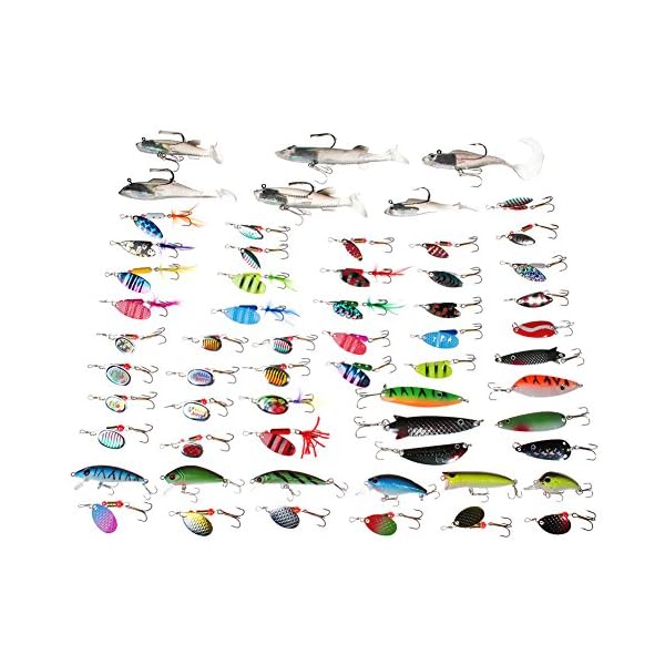 DrFish-Assortted-5-Lure-Boxes-Loaded-60-Bass-Fishing-Baits-Spinners-Rooster-Tail-Trout-Spoons-Soft-Plastic-Shads-Crankbaits-Minnow-Popper-Lures-Variety-Kit