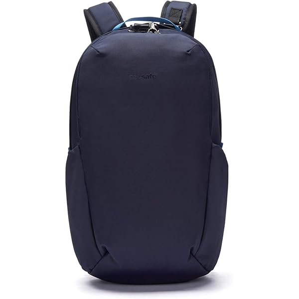 Amazon.com: Pacsafe Vibe 25L Anti Theft Travel Pack Casual Daypack