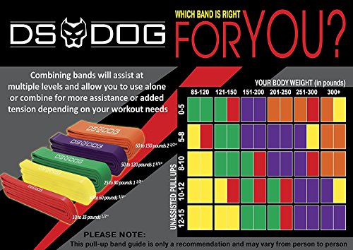 Resistance Band By DS DOG - Workout Band with 10-35 Pounds Resistance - Crossfit Pull Up Bands for Home or Gym - Powerlifting Exercise Bands - Extra Durable Natural Latex - with eGuide - Red