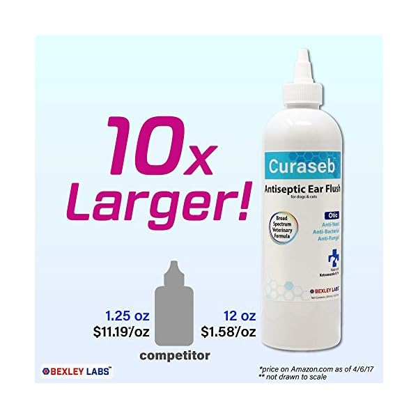 curaseb antiseptic ear flush