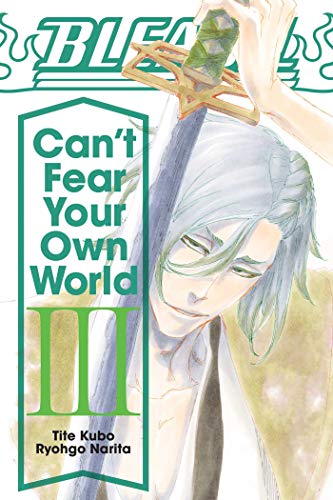 Bleach: Cant Fear Your Own World, Vol. 3: Volume 3