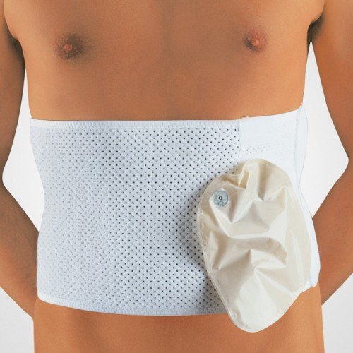 Bort Stoma Support Ostomy Support Belt Buy Online in United Arab Emirates at Desertcart