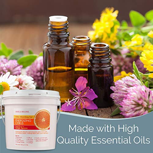 2 Smells+Begone+Odor+Absorber+Solid