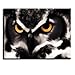 PIY Owl Wall Art with Frame, Owls Picture Canvas Prints for Bedroom, Animals Wall Décor Paintings, Waterproof, 1