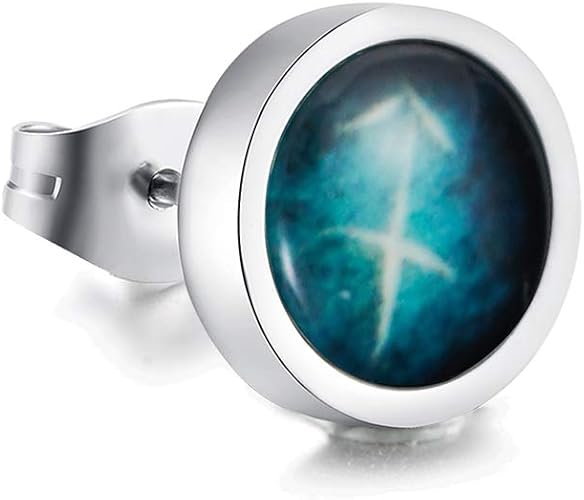 Amazon Y Ying メンズ ピアス スタッド 両耳 ステンレスピアス 暗闇 で 光る 蓄光 星座 ピアス 星座 いてざ ピアス 通販