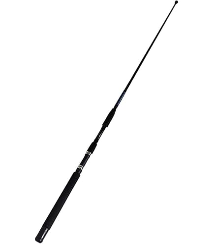 Daiwa インナーロッド INTERLINE REAGAL 1.5-53 Daiwa INTERLINE REGAL 1.5-53 INTERLINE ROD spinning surf rod
