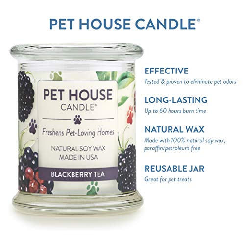 One Fur All - 100% Natural Soy Wax Candle, 20 Fragrances - Pet Odor Eliminator, Up to 60 Hours Burn Time, Non-Toxic, Eco-Friendly Reusable Glass Jar Scented Candles – Pet House Candle, BlackBerry Tea - Thumbnail 3