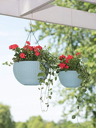 Decorations Cart Garden Hanging Planters Plastic Pots Sanitized with Hanging Chains for Balcony (Pack of 6) White Color |8 Inches Diameter