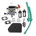 Hipa Carburetor for Stihl FS100 FS100R FS110 FS110R FS110X FS110RX FS100RX FS130 FS130R Trimmer with Air Filter Fuel Line Tune Up Kit