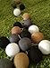 Earth Tone Cotton Ball Patio Party String Lights (20/set)