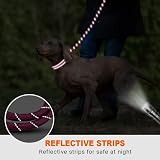 Taglory Rope Dog Lead with Padded Handle 1.2 cm 1.8 m Reflective Hotpink view 5