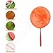 Yolafe Insect Nets, Telescopic Bug Nets for Kids to Catch Butterfly, Fish, Bumblebee, Beetle, Ladybird, Caterpillar (5 Pieces, 5 Colors)