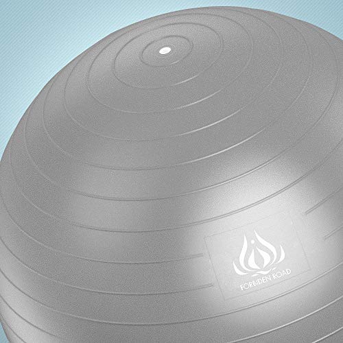 Forbidden Road Exercise Yoga Ball (45CM-85CM, 4 Colors) 200 lbs Anti-Burst Slip-Resistant Yoga Balance Stability Swiss Ball (Silver, Diameter: 45cm)