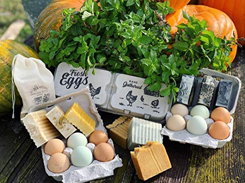 Half Dozen Egg Cartons- 6 Full Dozen Size Can Split to 12 Half Dozen Size Cartons- Securely Holds 6 or 12 Extra Large Eggs