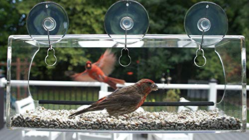 Tranquil Outdoors Large Acrylic Window Bird Feeder Strong