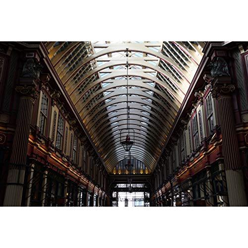 5 Sony+18+135mm+F3+5+5+6+Accessory+Multicoated