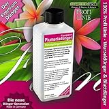 Plumeria-Frangipani-Food--Liquid-Fertilizer-HighTech-NPK-P-Root-Soil-Foliar-Fertiliser--Professional-Plant-Foo