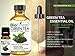 BioFinest Green Tea Oil - 100% Pure Green Tea Essential Oil - Premium Organic - Therapeutic Grade - Best For Aromatherapy - Boost Fat Burning - Anti-oxidant - FREE E-Book (10ml)