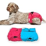 Paw Inspired Washable Dog Diapers