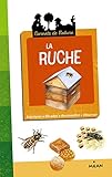 Image de La ruche - NE