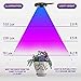 LED Grow Lights,10W Adjustable 6 Level Desk Plant Lamp with 360° Flexible Gooseneck Arms and Spring Clamp for Indoor Plants Hydroponic Greenhouse Gardening Plant