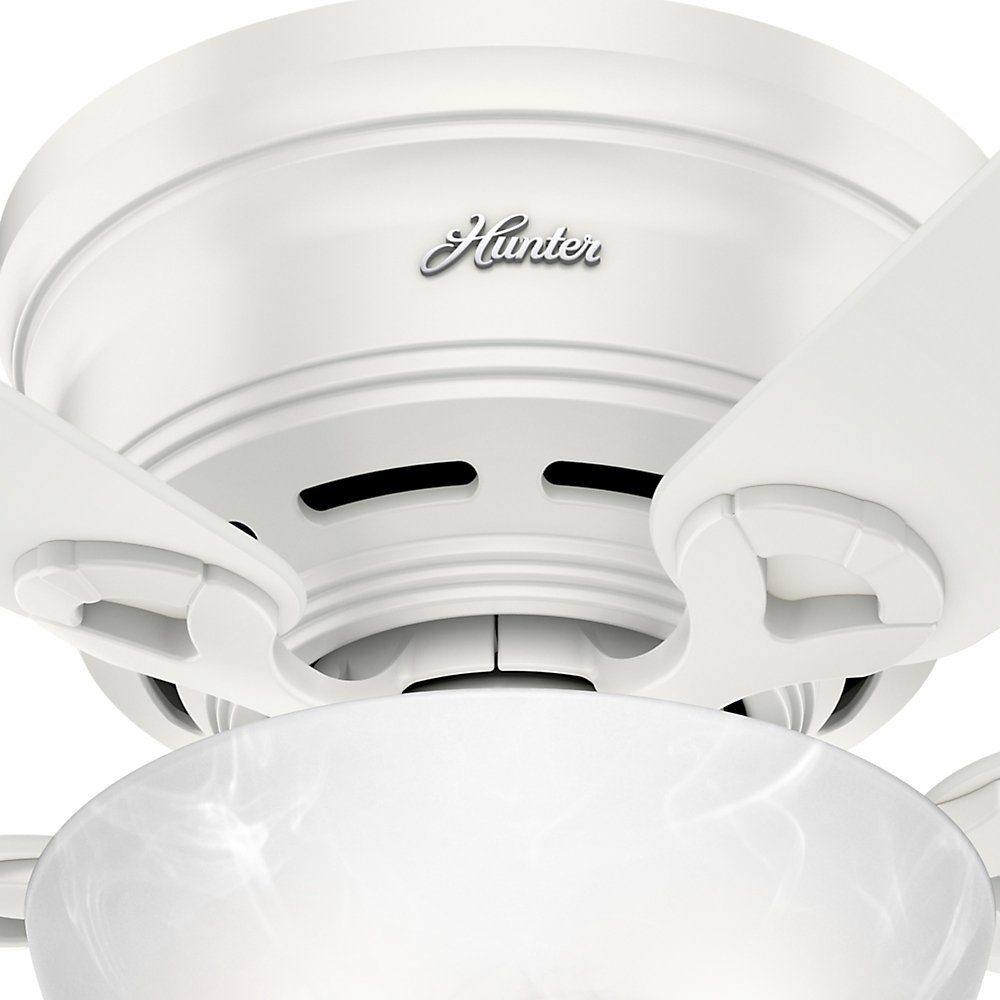 Hunter Fan Company 52138 Hunter 42" Haskell Ceiling Fan with Light, Fresh White