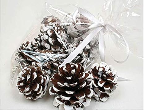 Just1clickeu Weihnachtsdeko Kiefernzapfen Zapfen Tannenzapfen Waldkiefer Deko Zapfen Mit Schnee Im Schmuckbeutel