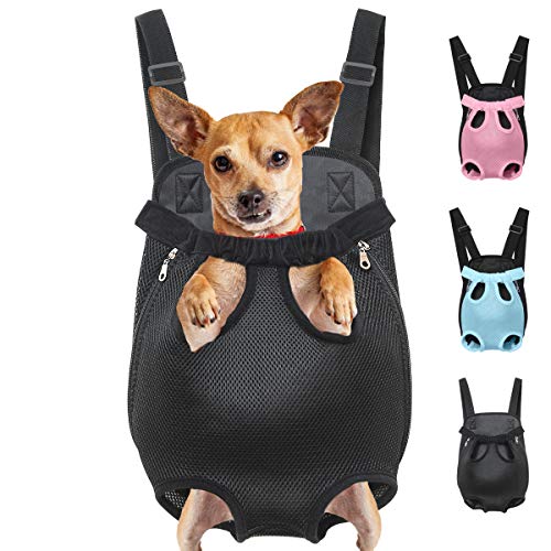 Top 10 Dog Carriers For Small Dogs Front of 2020 No Place Called Home