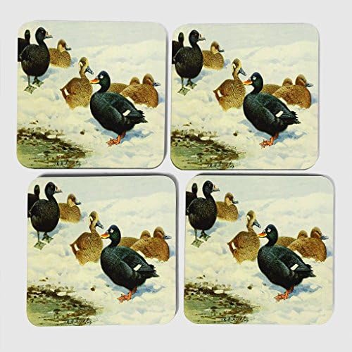 Vintage W Kuhnert Common &amp; Velvet Scoter Coasters Multi-Colour 9 x 9 cm Pack of 4
