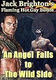 An Angel Falls to The Wild Side (Tales from The Wild Side Book 8)