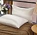 LULUSILK Mulberry Silk Pillowcase for Hair and Skin, 600 Thread Count 19 Momme Silk Pillow Case with Hidden Zipper, Ivory, Queen Size, Pack of 1