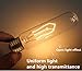 60W Edison Bulb,SerBion Incandescent Vintage Antique Light Bulb, T10 Tubular Filament Dimmable Bulb,E26/E27-110v- 370 Lumens,6-pack