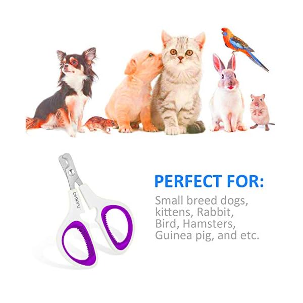 OneCut Pet Nail Clippers, Update Version Cat & Kitten Claw Nail Clippers for Trimming, Professional Pet Nail Clippers…