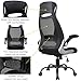 OWLN Ergonomic High Back Mesh Office Chair with Adjustable Armrest Swivel Computer Task Chair