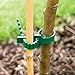 KINGLAKE 8 Pcs Tree Stake Supports Adjustable Tree Plant Ties (24cm/9.4inch)