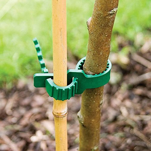 KINGLAKE 5 Pcs Tree Stake Supports Adjustable Tree Plant